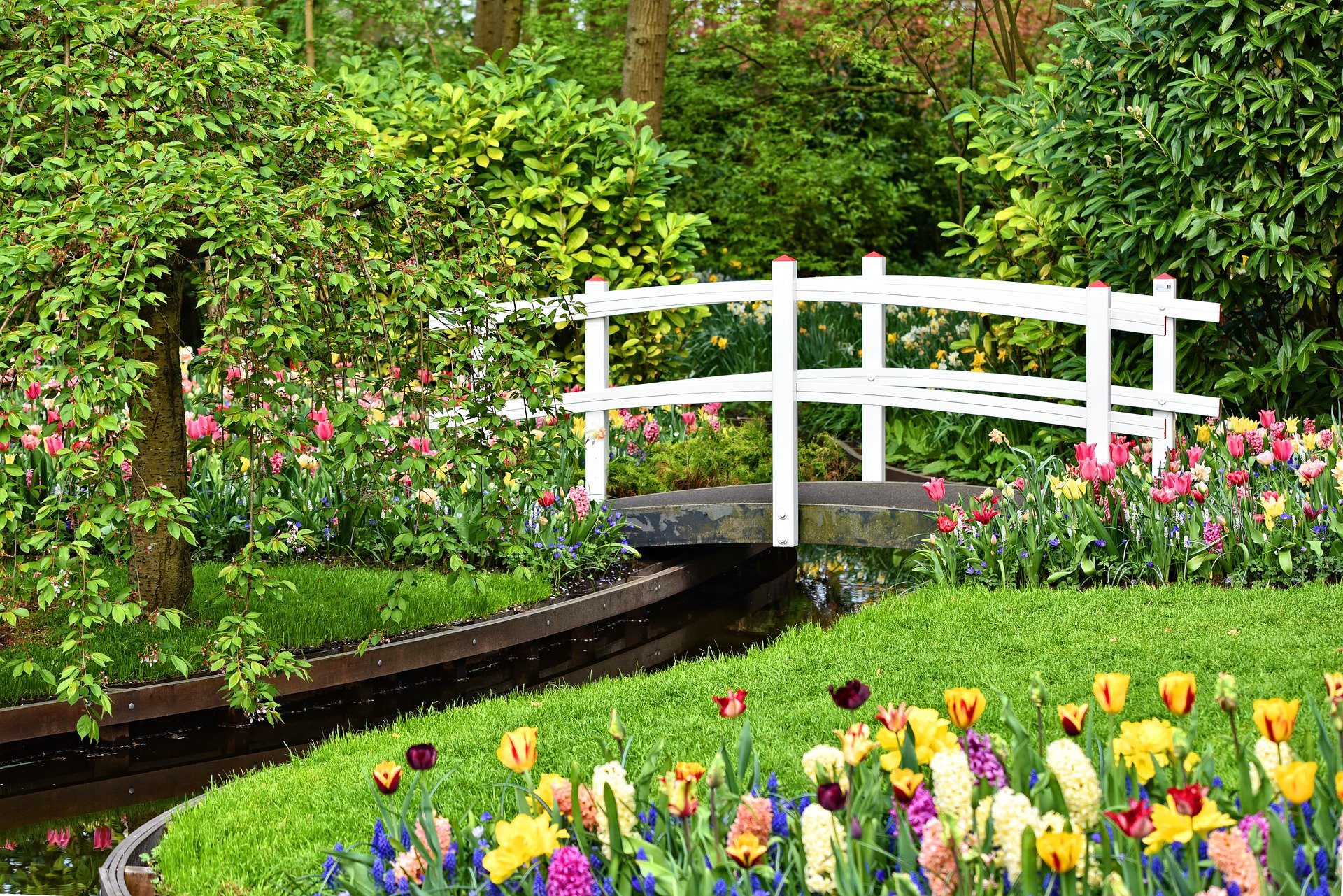 Der perfekte Garten Tipps zur Planung & Umsetzung blogigo.de