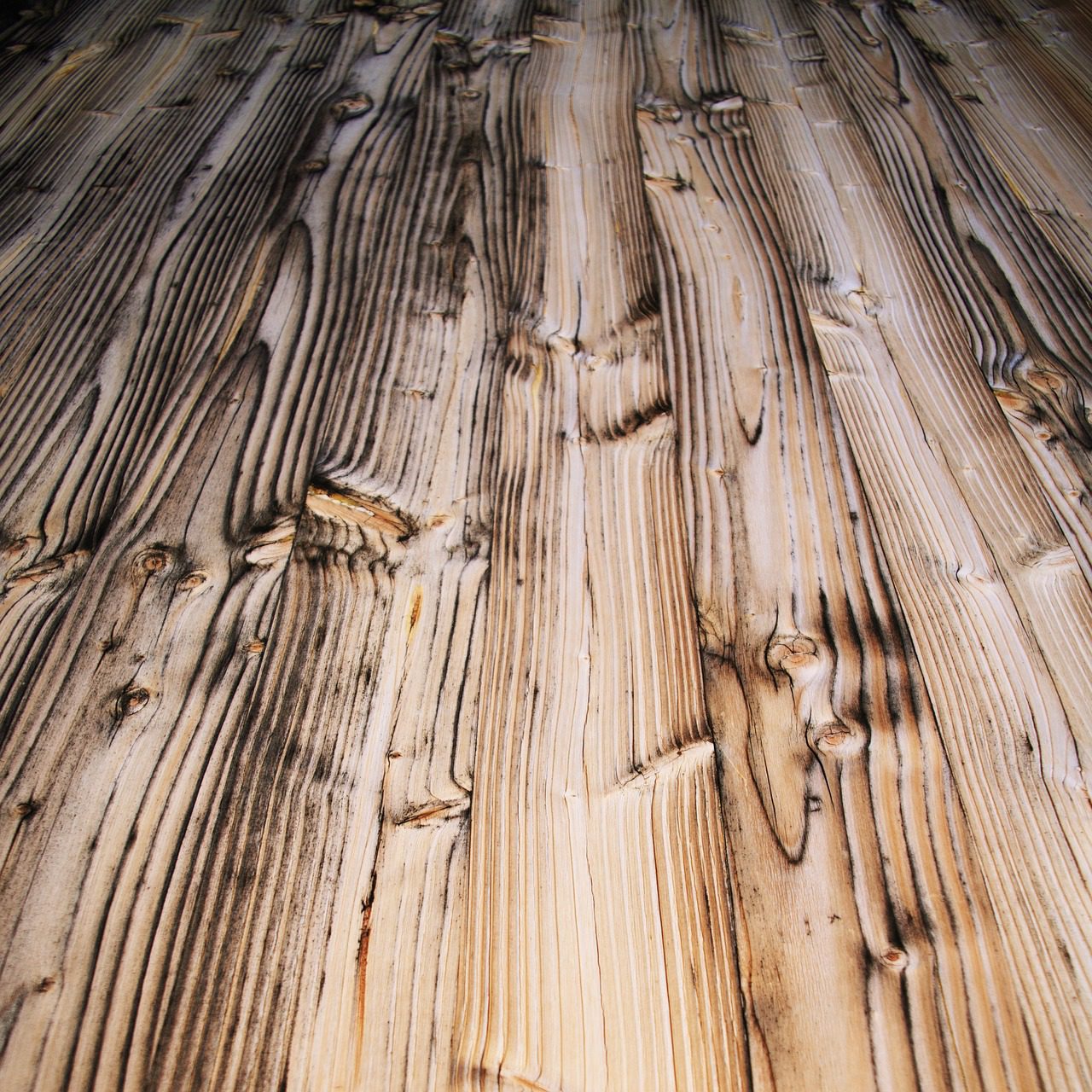 Was ist ein Assi? blogigo.de