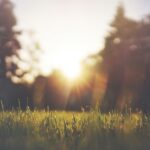 Sonne