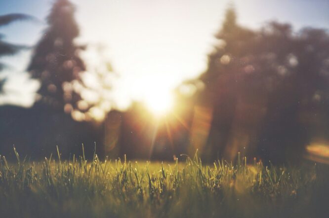 Sonne