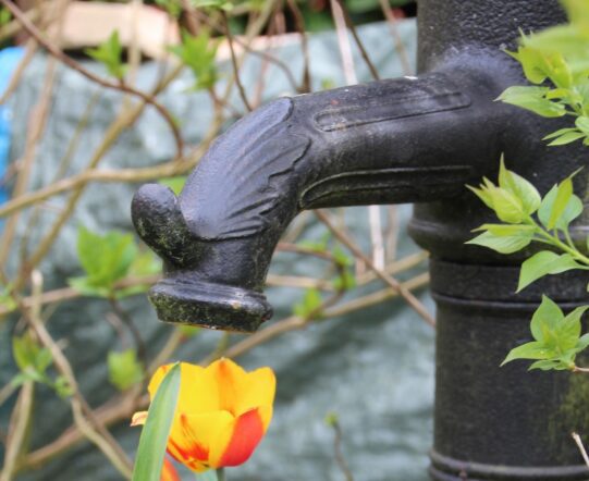 Gartenpumpe