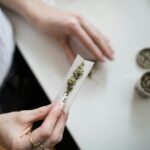 Euforia Cannabis