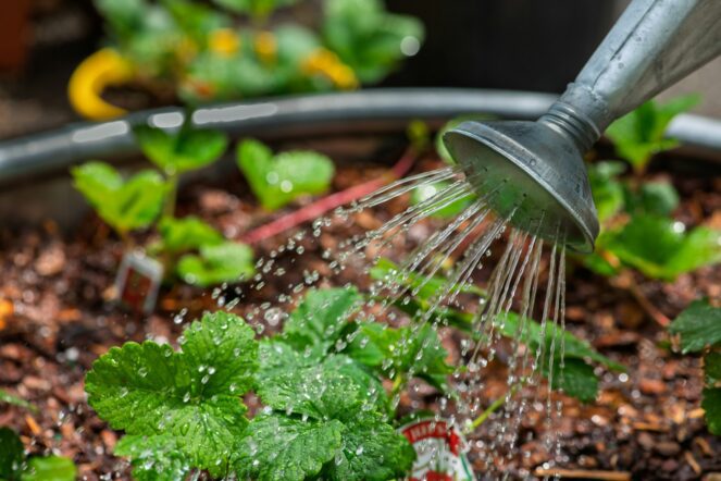 Regenwasser nutzen
