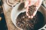 Bewusster Kaffeegenuss: Wie das „schwarze Gold“ deinen Lifestyle bereichert